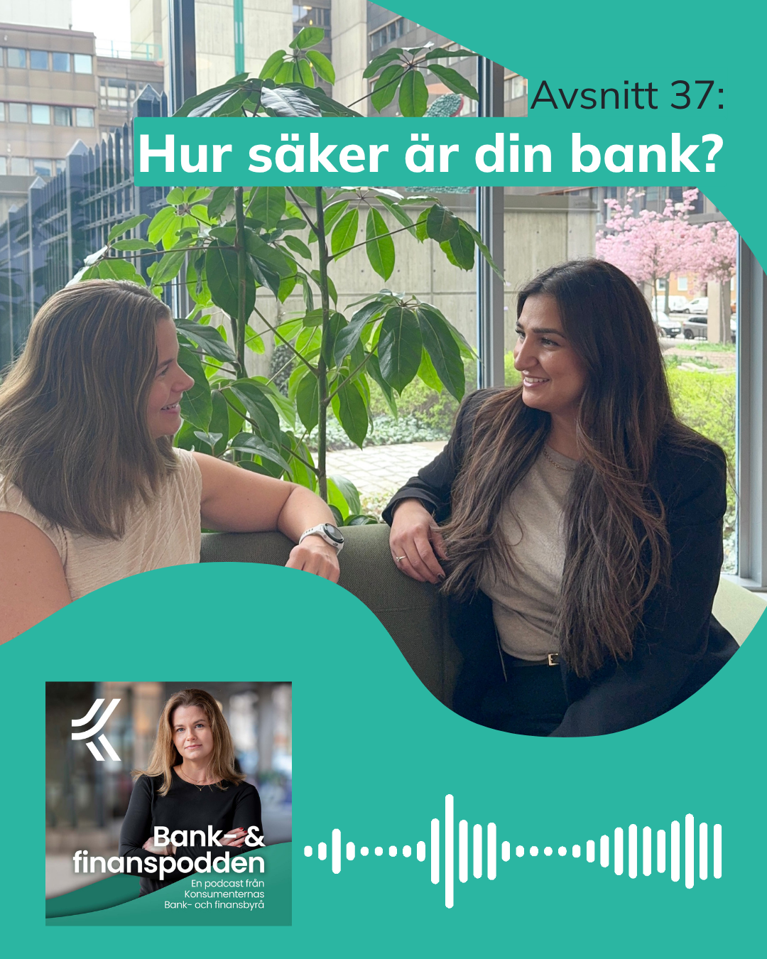 Omslag till avsnitt 37