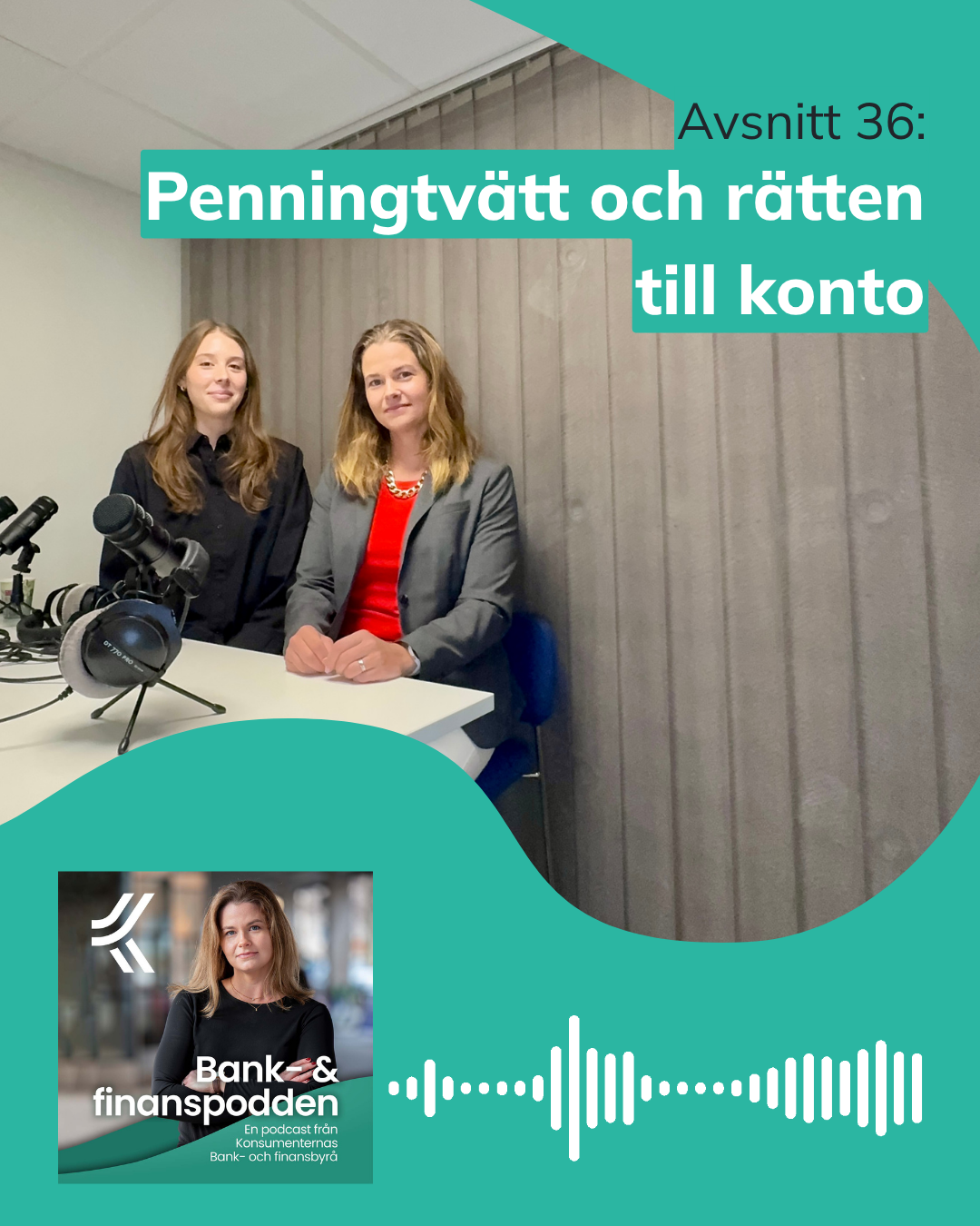 Omslagsbild f&ouml;r poddavsnitt 36